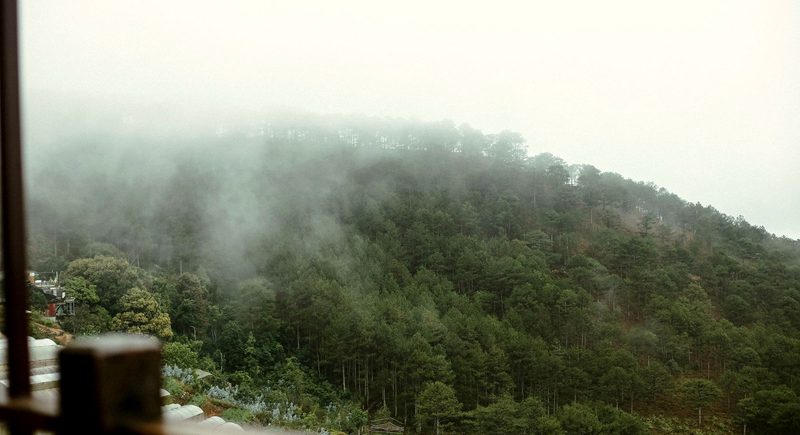 O morro visto do fundo do terreno