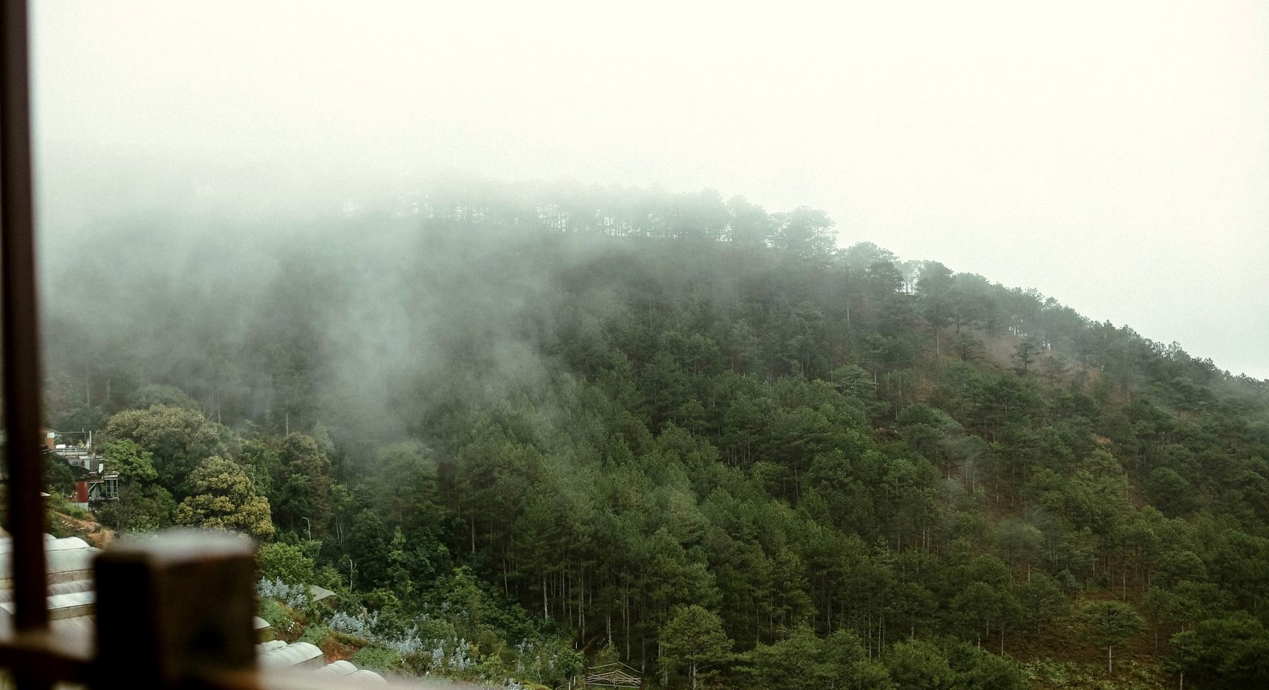 O morro visto do fundo do terreno